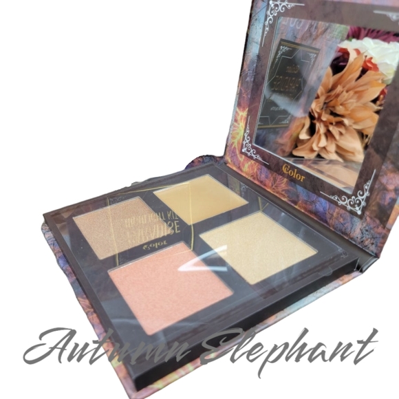 NWT Color Brand Makeup Set - Picture 7 of 7